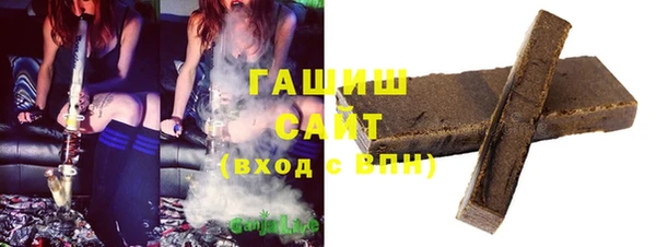 шишки Бородино