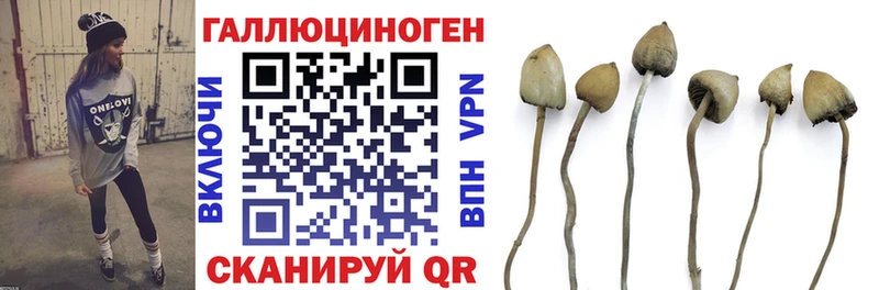Галлюциногенные грибы ЛСД Рубцовск