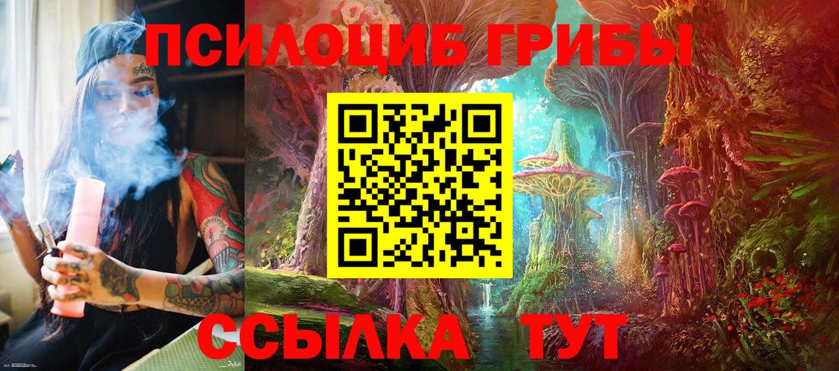 Псилоцибиновые грибы GOLDEN TEACHER  Рубцовск 