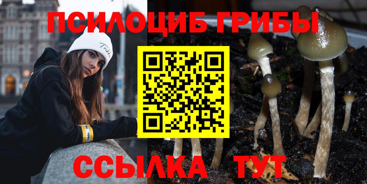 Псилоцибиновые грибы Cubensis  Вход с VPN  Галлюциногенные грибы GOLDEN TEACHER  Рубцовск 